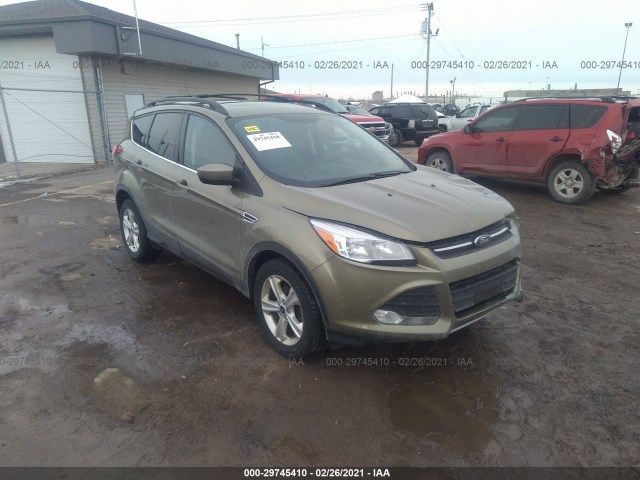Ford Escape (2014)