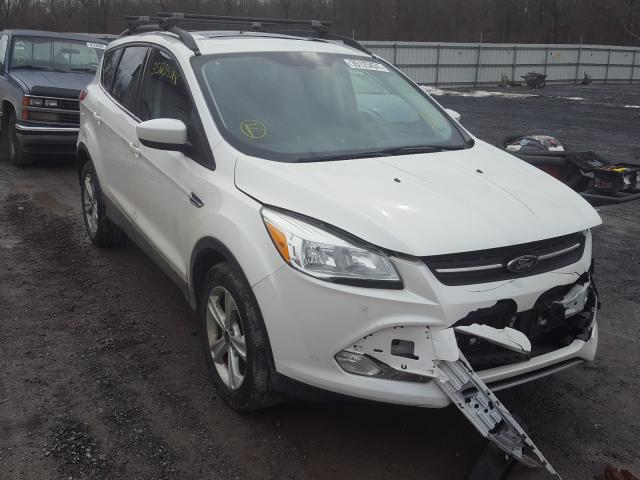 Ford Escape se (2014)