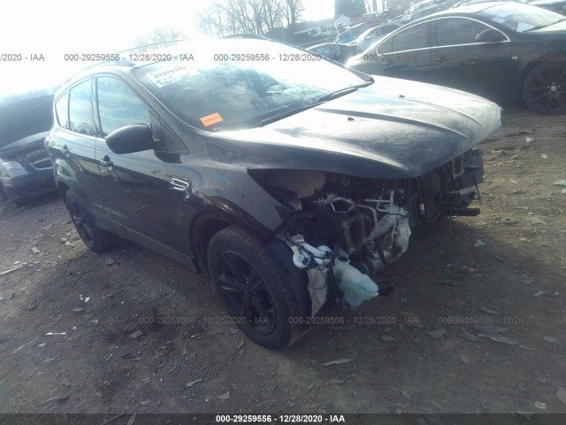 Ford Escape (2015)