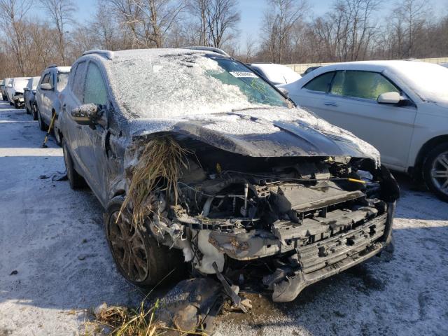 Ford Escape tit (2014)