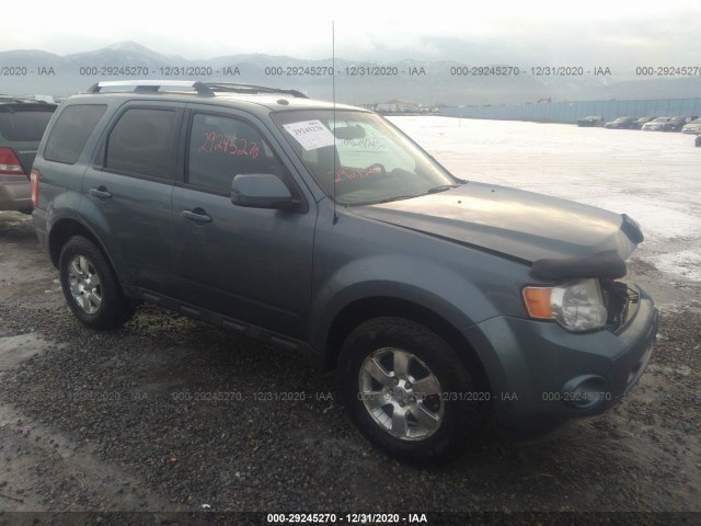 Ford Escape (2011)