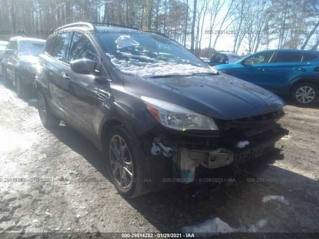 Ford Escape (2014)