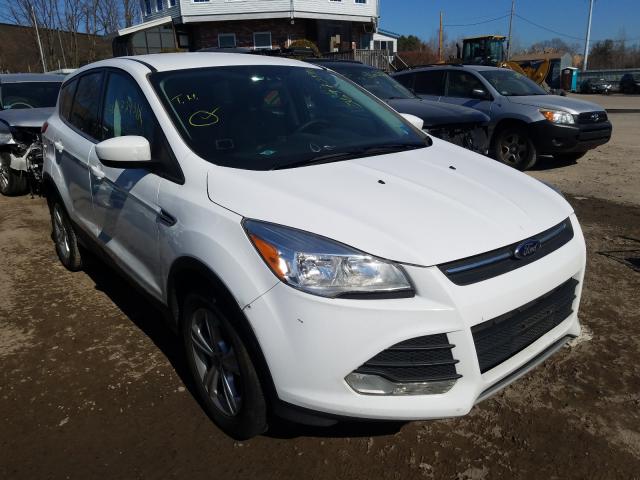 Ford Escape se (2014)