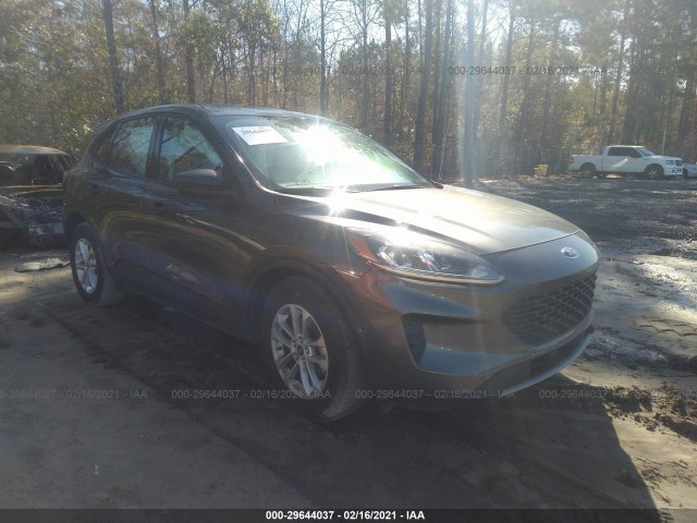 Ford Escape (2020)