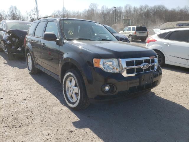 Ford Escape xlt (2010)