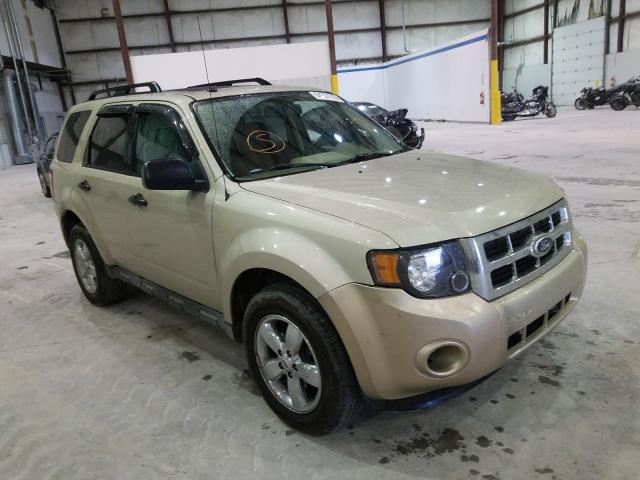 Ford Escape xlt (2010)
