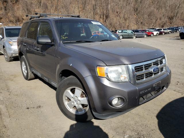 Ford Escape xlt (2011)