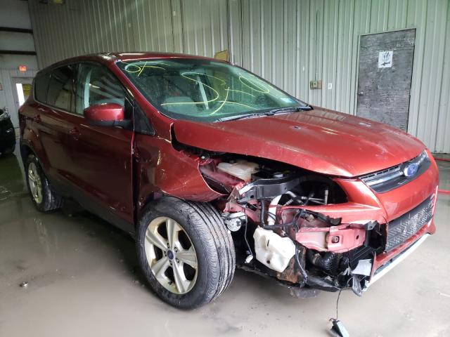 Ford Escape se (2014)