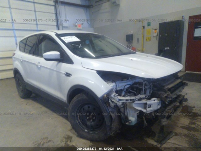 Ford Escape (2016)