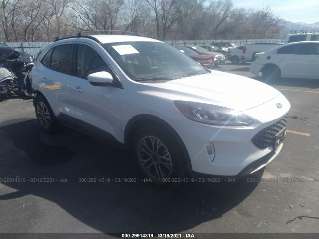 Ford Escape (2020)