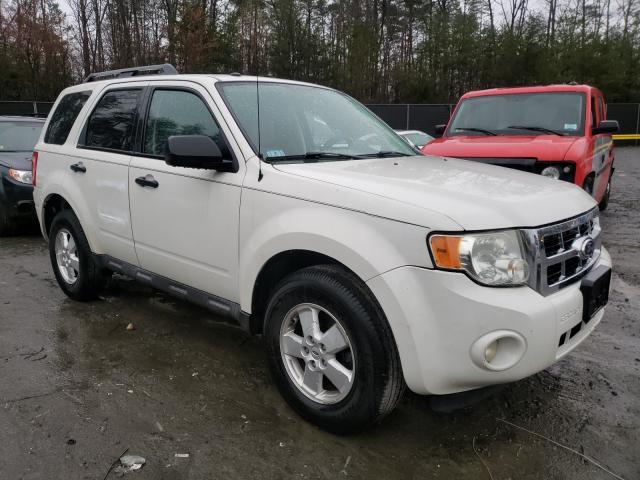 Ford Escape xlt (2010)