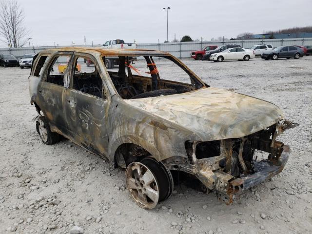 Ford Escape xlt (2010)