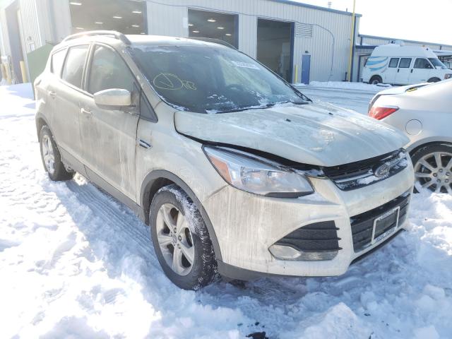 Ford Escape se (2014)