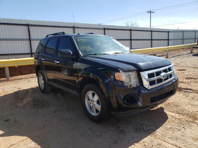 Ford Escape xlt (2010)