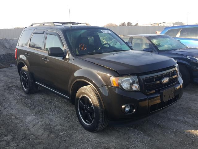 Ford Escape xlt (2011)