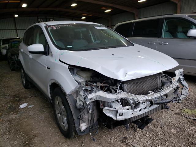 Ford Escape se (2014)
