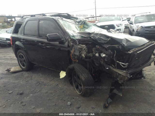 Ford Escape (2010)