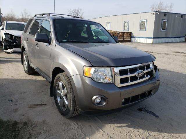 Ford Escape xlt (2010)