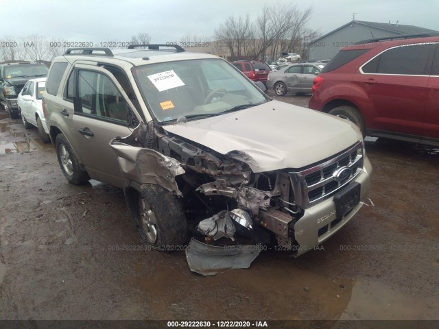 Ford Escape (2011)