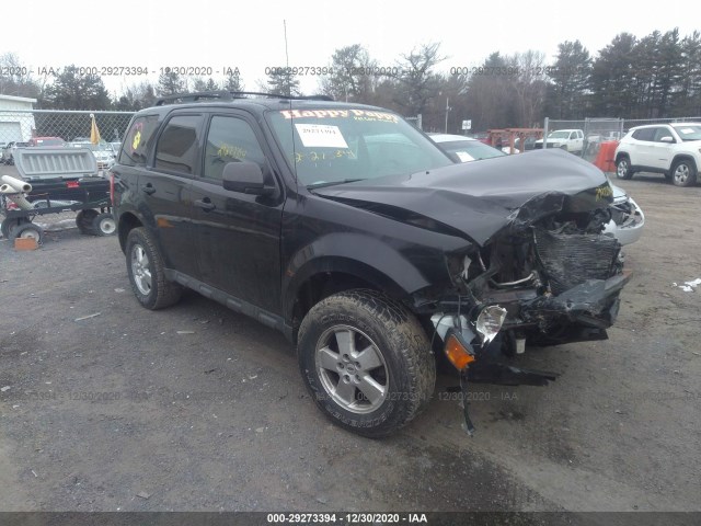 Ford Escape (2012)