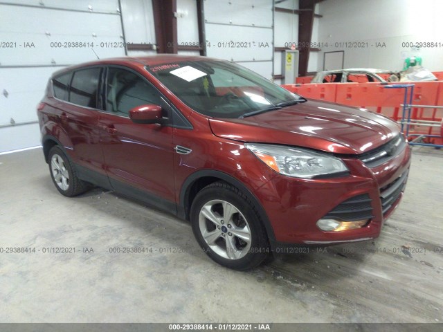 Ford Escape (2014)