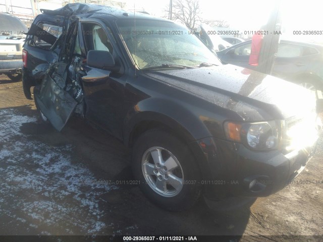 Ford Escape (2011)