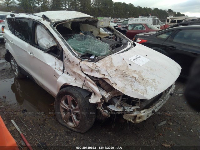 Ford Escape (2013)