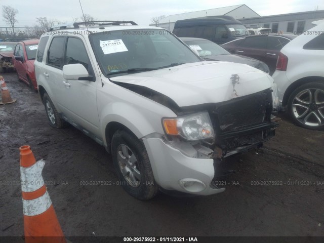 Ford Escape (2010)
