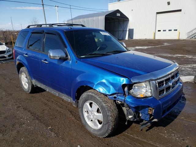 Ford Escape xlt (2011)