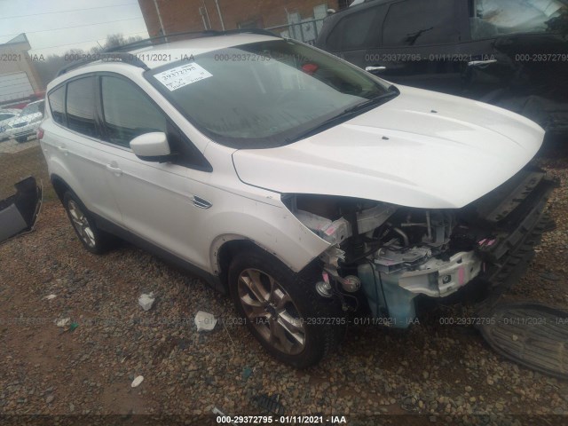 Ford Escape (2013)