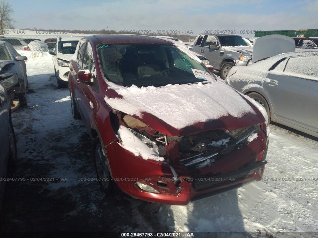 Ford Escape (2014)