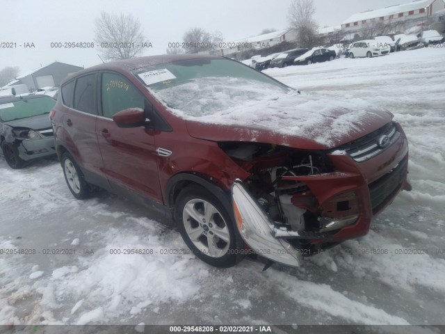 Ford Escape (2014)