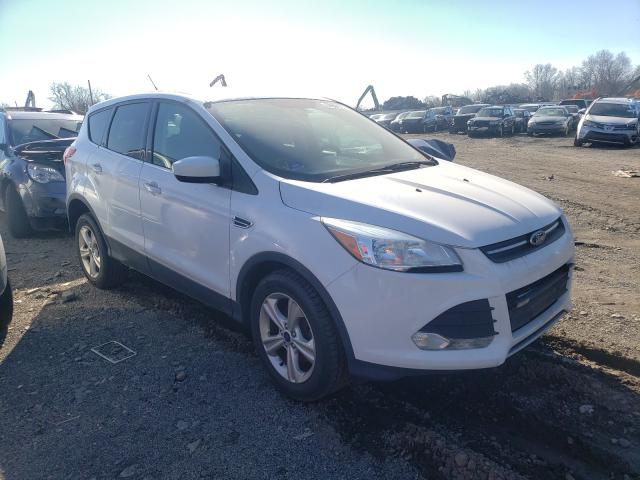 Ford Escape se (2014)