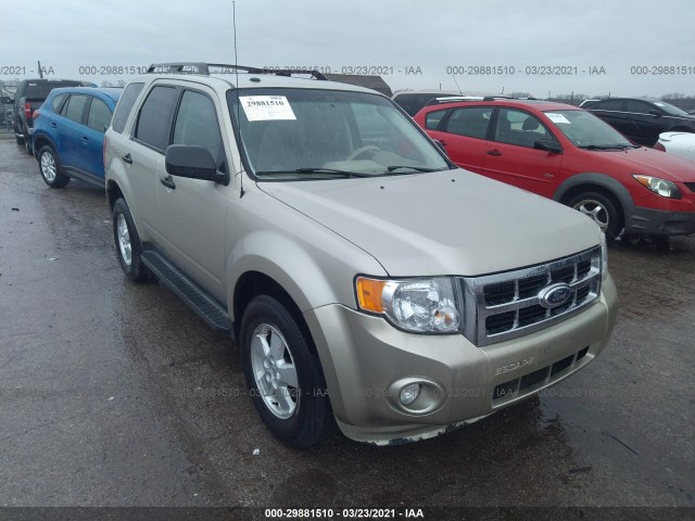 Ford Escape (2010)