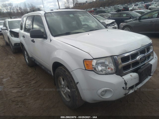 Ford Escape (2010)