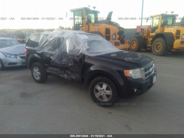 Ford Escape (2010)