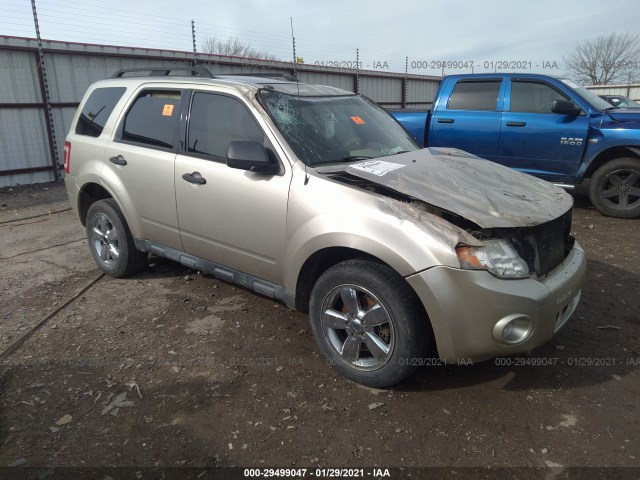 Ford Escape (2010)