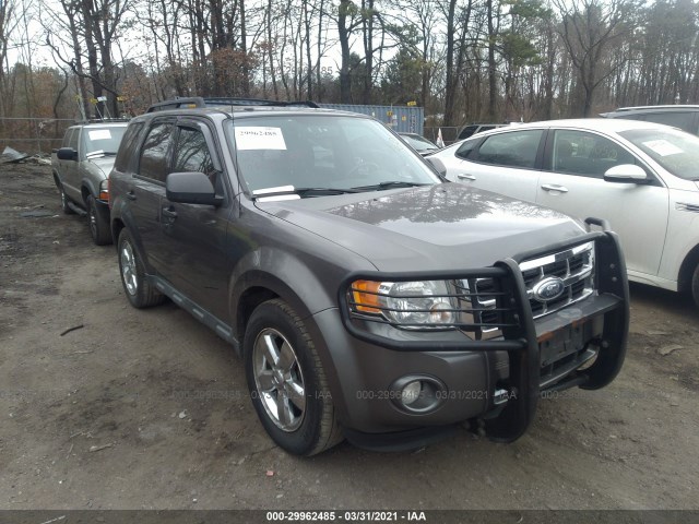 Ford Escape (2010)