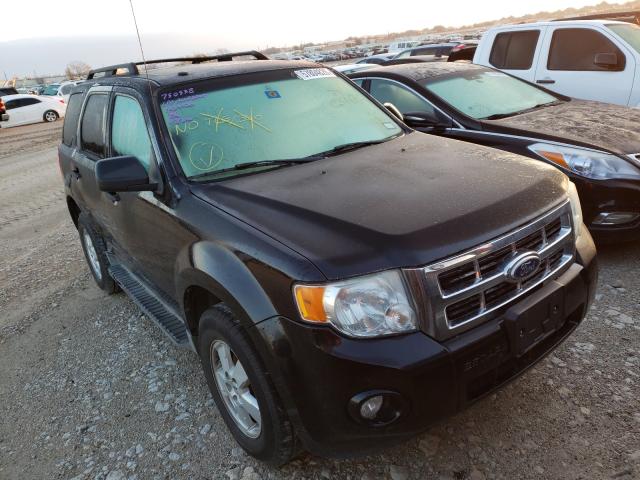 Ford Escape xlt (2010)