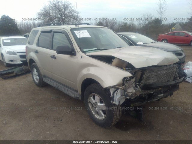 Ford Escape (2011)