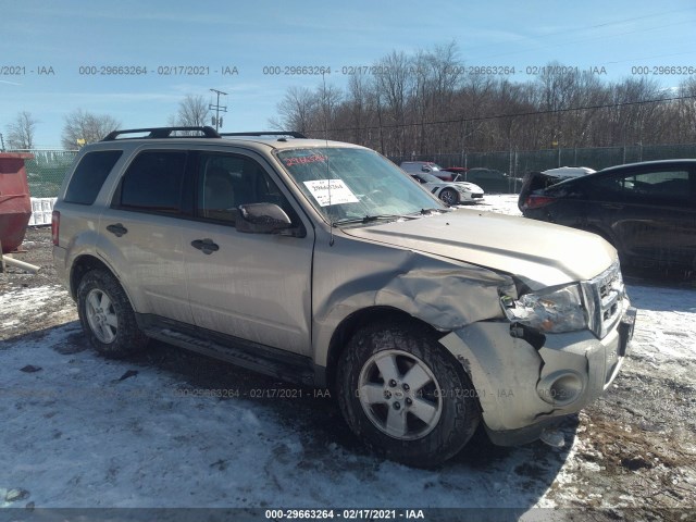 Ford Escape (2011)