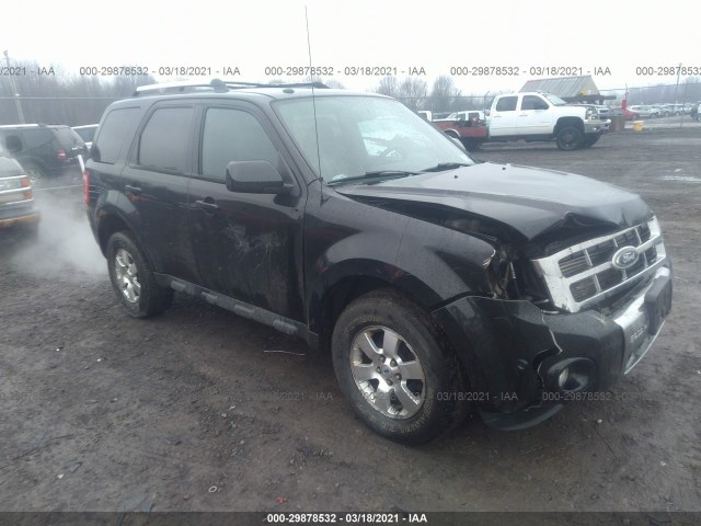 Ford Escape (2011)