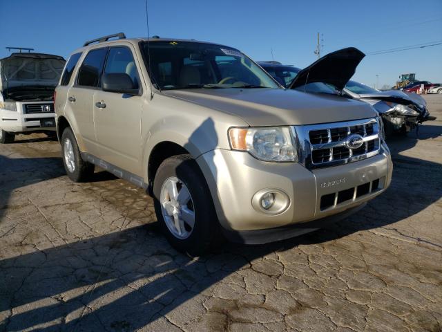 Ford Escape xlt (2011)