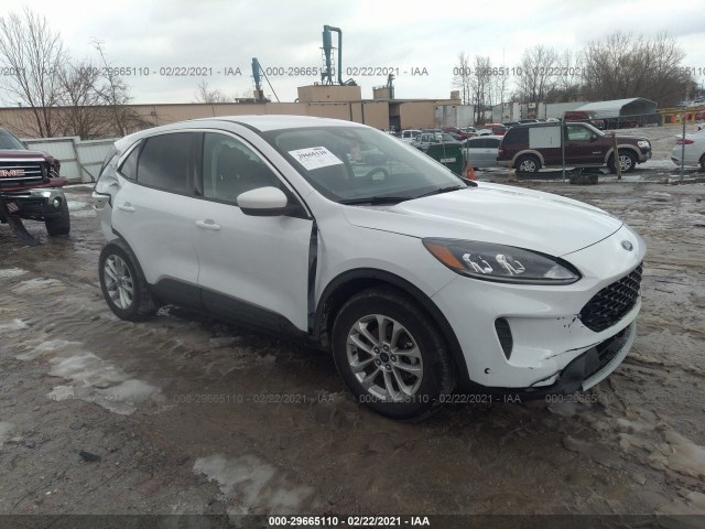 Ford Escape (2020)