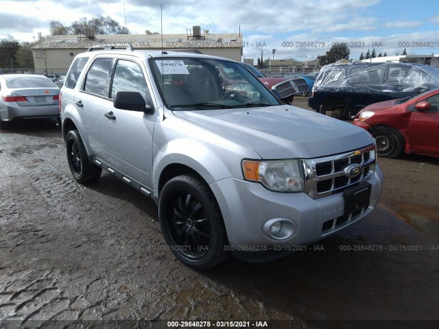 Ford Escape (2010)