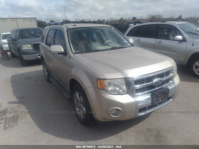 Ford Escape (2010)