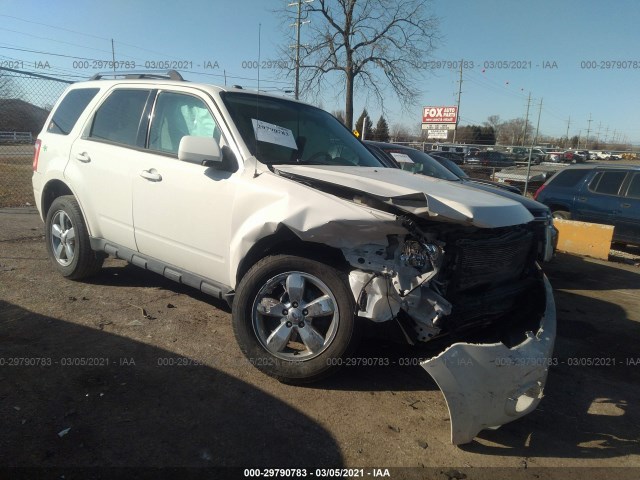 Ford Escape (2010)