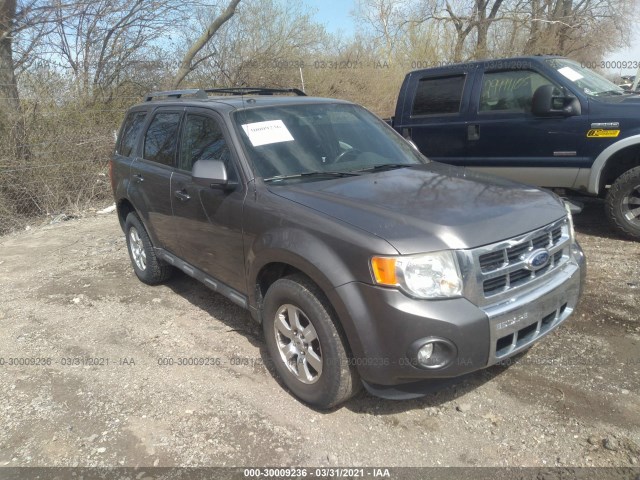 Ford Escape (2010)