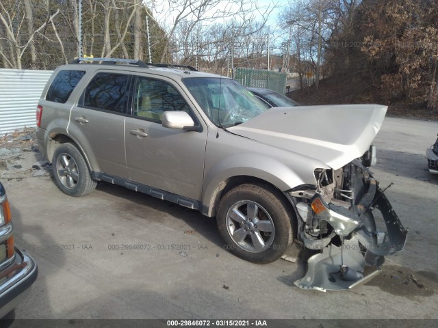 Ford Escape (2011)
