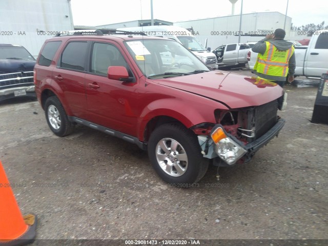 Ford Escape (2011)